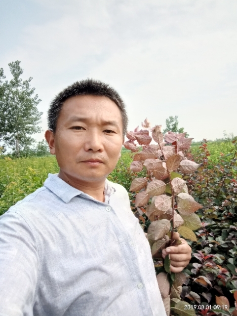 孩子爸的第一张照片--江苏蓝颜知己交友网